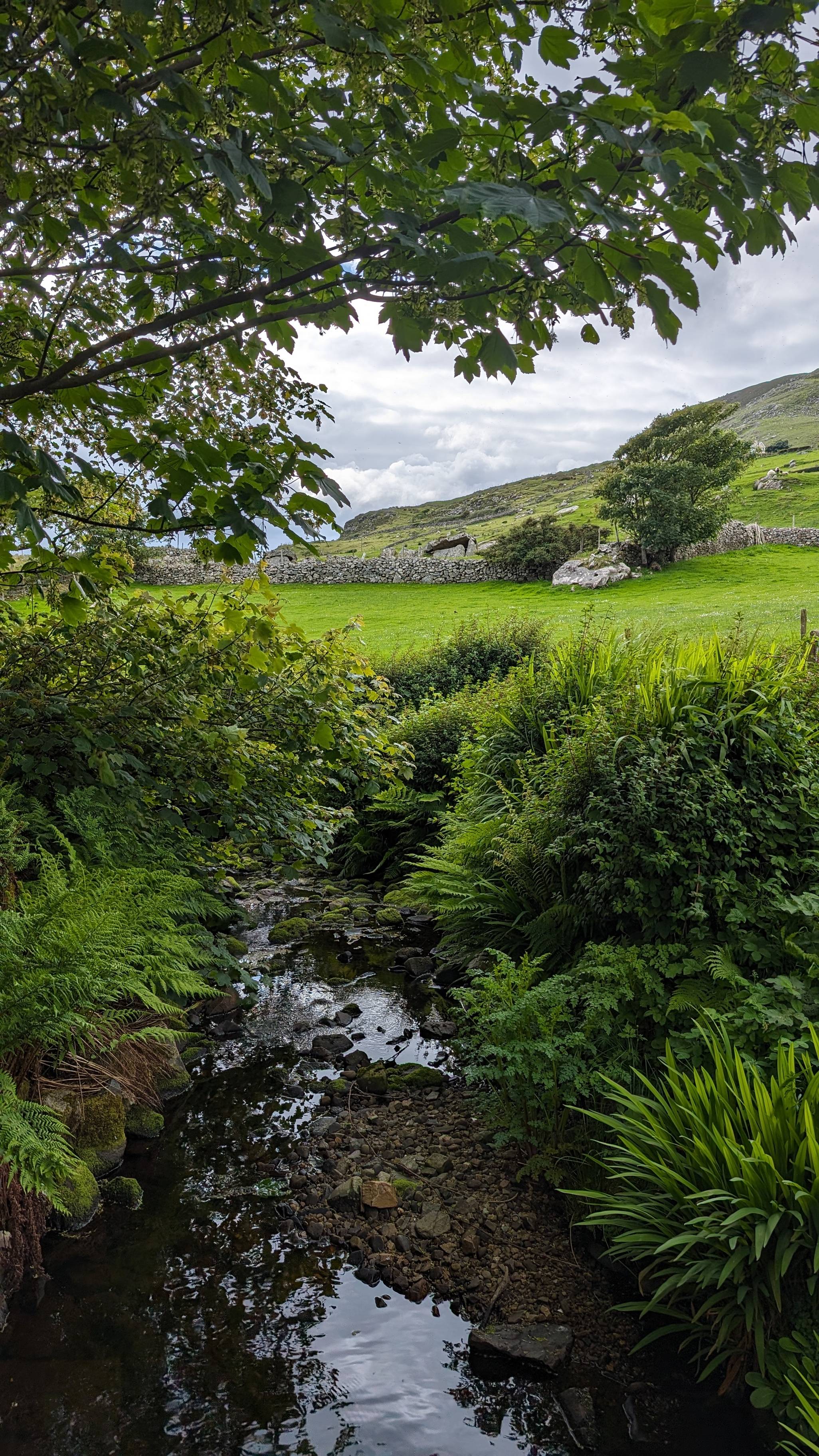 Sruthán ag Fearann Mac Giolla Bhríde