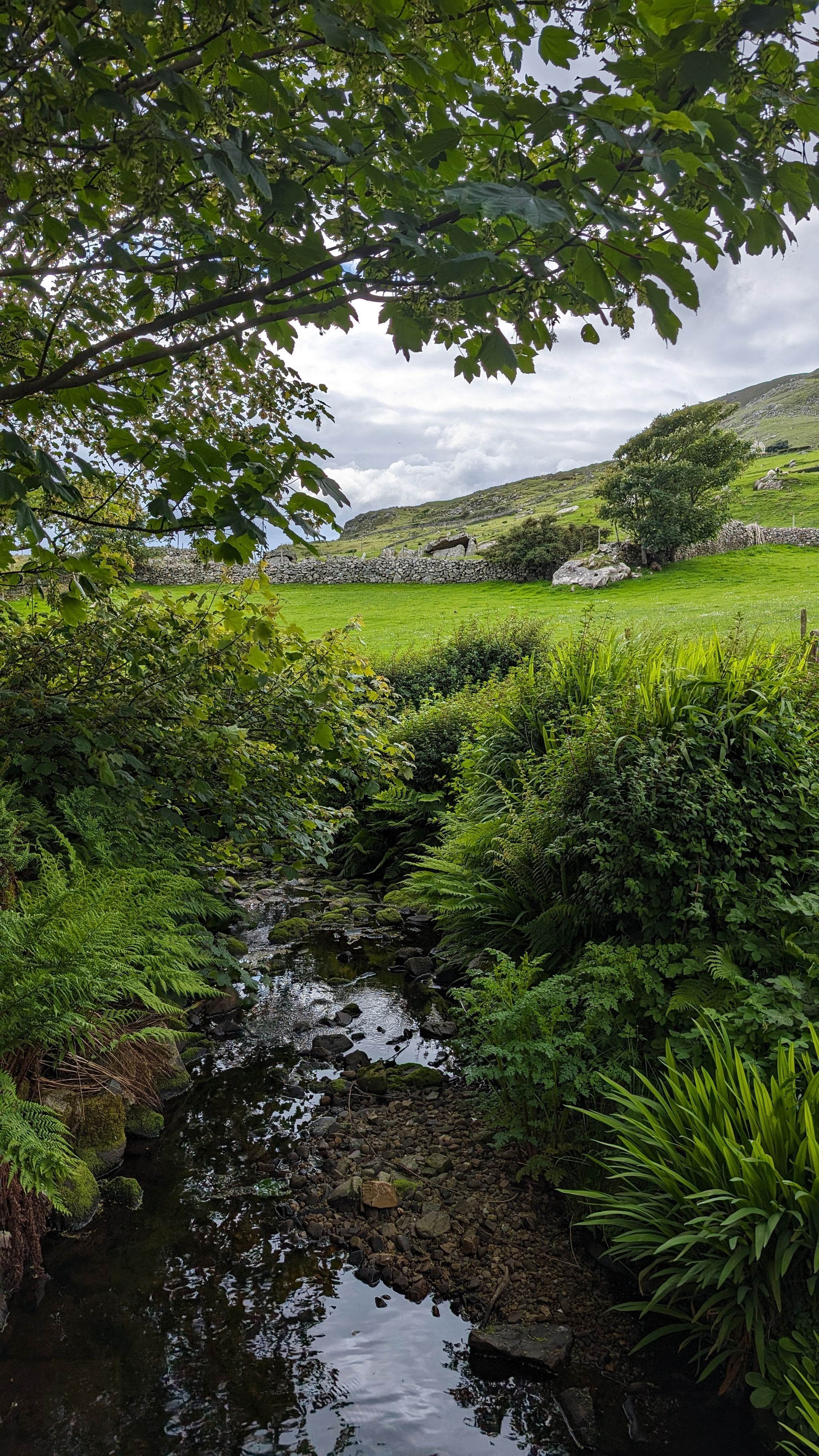 Stream at Fearann Mac Giolla Bhríde